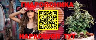 герыч Будённовск