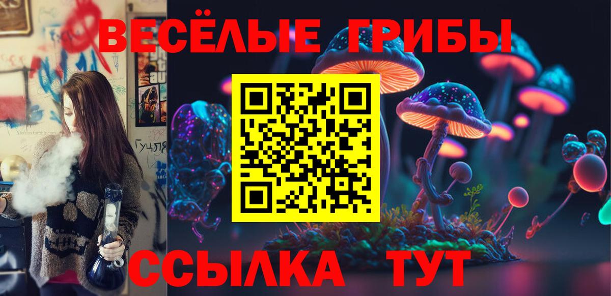 Псилоцибиновые грибы прущие грибы Сокол