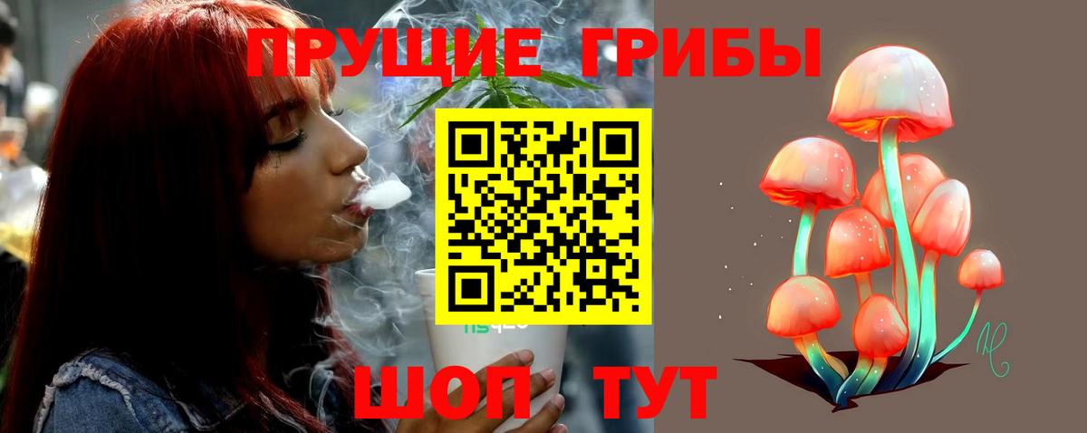 Галлюциногенные грибы Cubensis  Псилоцибиновые грибы Psilocybine cubensis  закладки  Сокол  Вход с VPN 